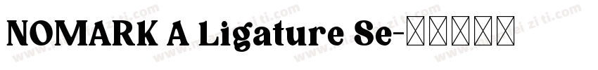 NOMARK A Ligature Se字体转换